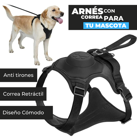 Arnés con Correa Retráctil para Perros